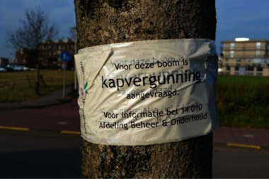 Gezicht achter 1
