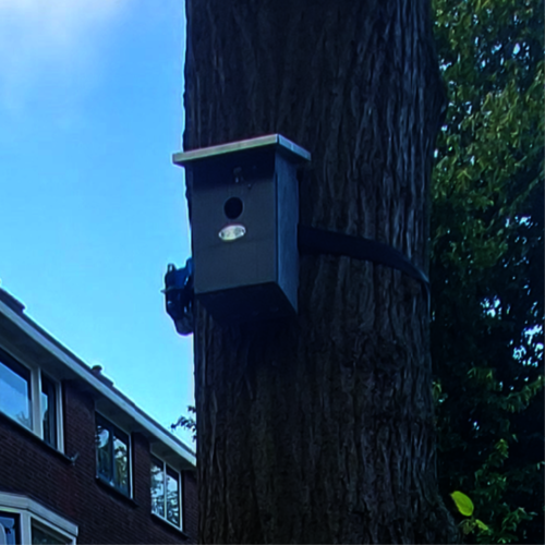 Sensor aan boom