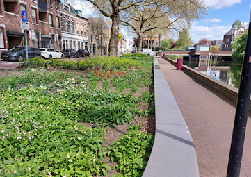 Klimaatadaptatie