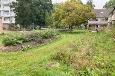 Riolering en Waterhuishouding