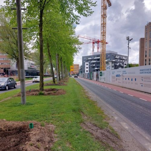 dordrecht bereikbaar